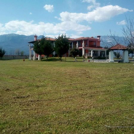 Villa Αρχοντικό Παπανικολάου Ligaria  Exterior foto